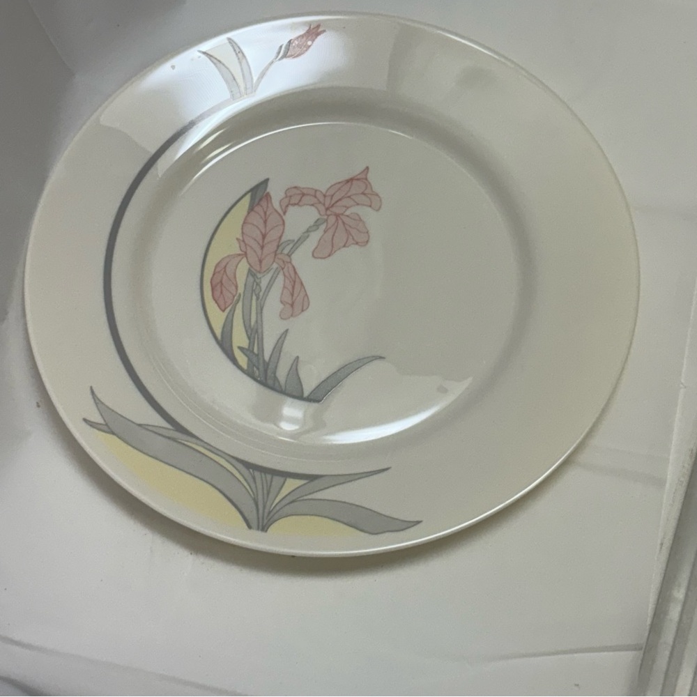 Arcopal France dinner plate Diana Dinner Plate